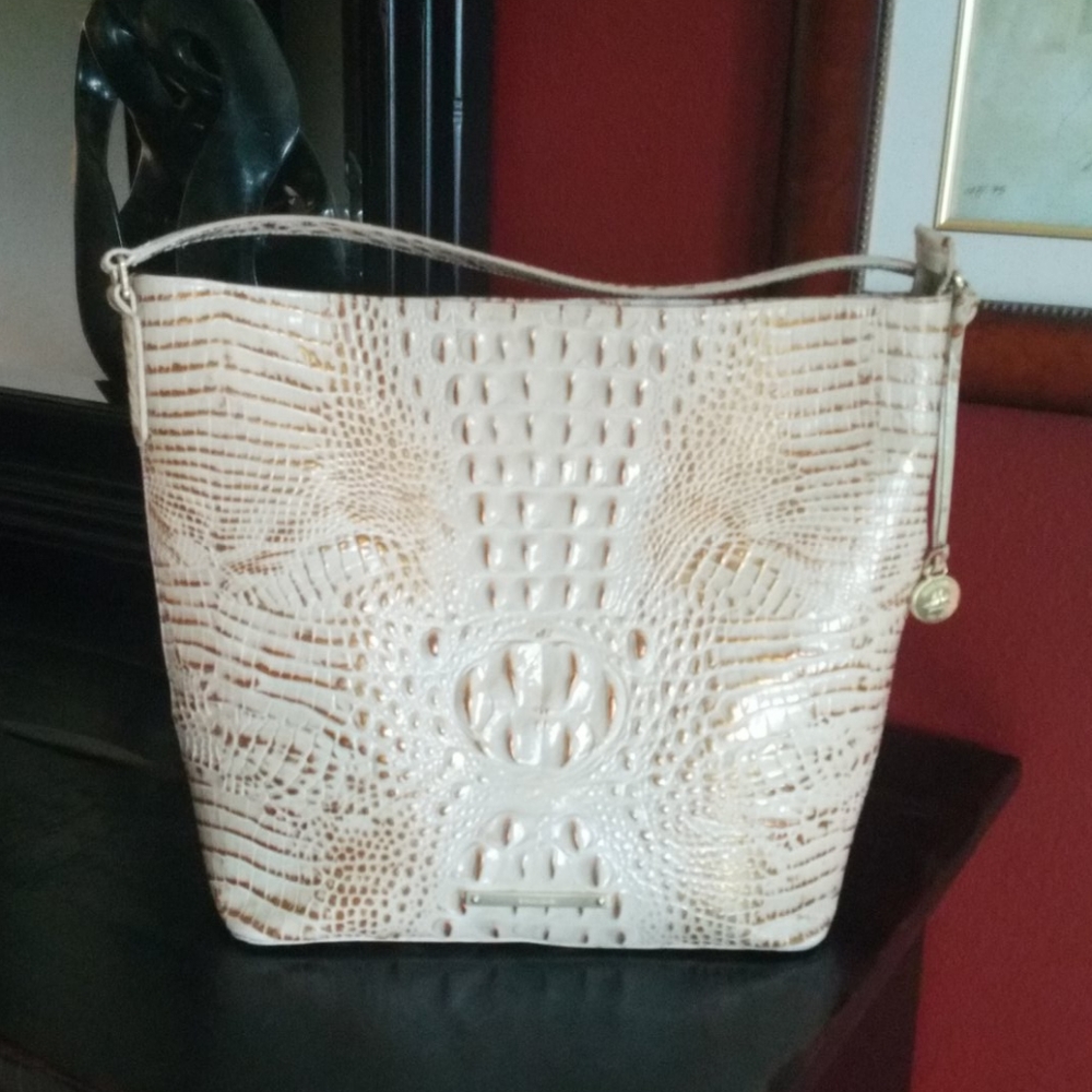 Beautiful Brahmin with dust bag and reg card